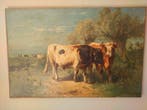 Henri Schouten (1857-1927) - Vaches