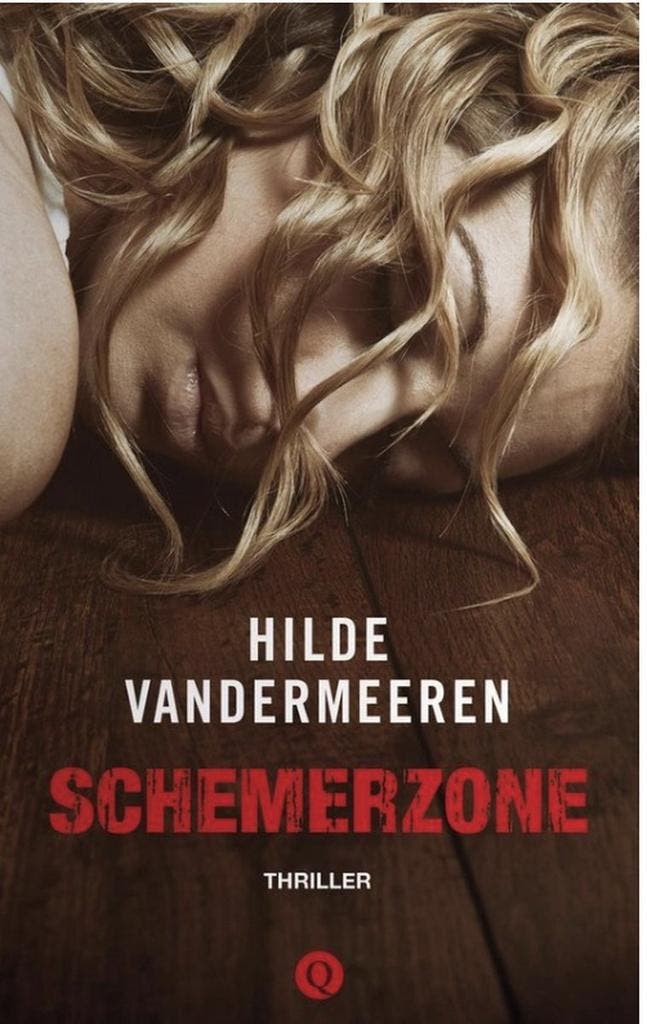 Schemerzone 9789021409399 Hilde Vandermeeren, Boeken, Thrillers, Zo goed als nieuw, Verzenden