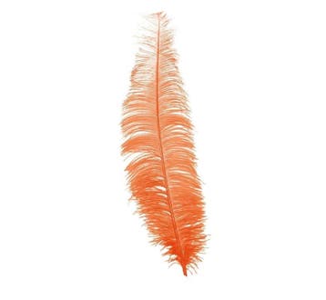 Oranje Struisvogelveren 40cm 12st, Verzenden, Nieuw