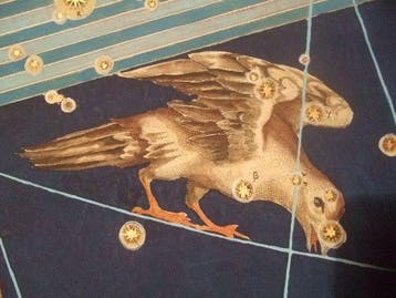 Celestial - Zuidelijke Celest. hemisfeer; Johann Bayer -, Nieuw