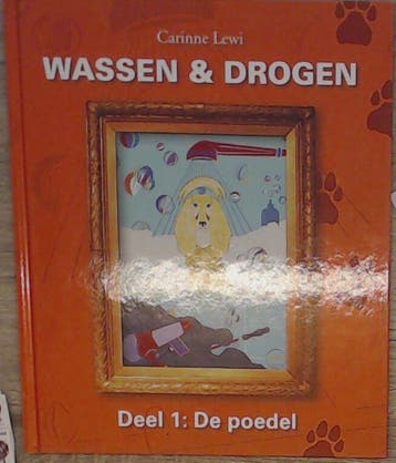 Wassen & drogen 9789077156018 C. Lewi, Boeken, Verzenden, Gelezen, C. Lewi