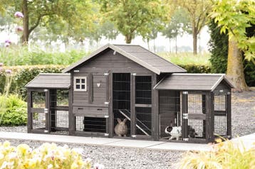 LUXE Konijnenhok ? Kwaliteit bij Grootplezier Beaux clapiers, Animaux & Accessoires, Verzenden