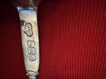 Brandy lepel (4) - Zilver - zilver