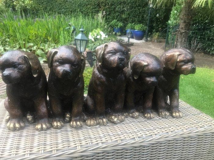 sculptuur, five labrador puppies - 80 cm - 80 cm - Brons, Antiquités & Art, Curiosités & Brocante