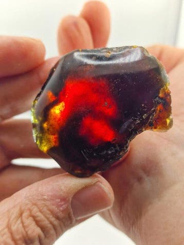 Natuurlijke amber ruwe partij – Donker honingamber Monsters-