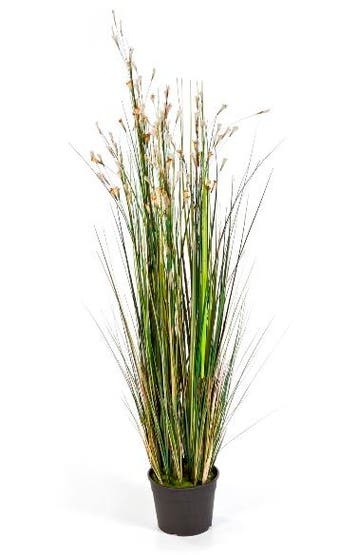 Kunstplant Coral Gras Crème Wit 120 cm, Verzenden