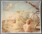 Stefanie Schneider - Circle of Magic - Spellbound (29 Palms,