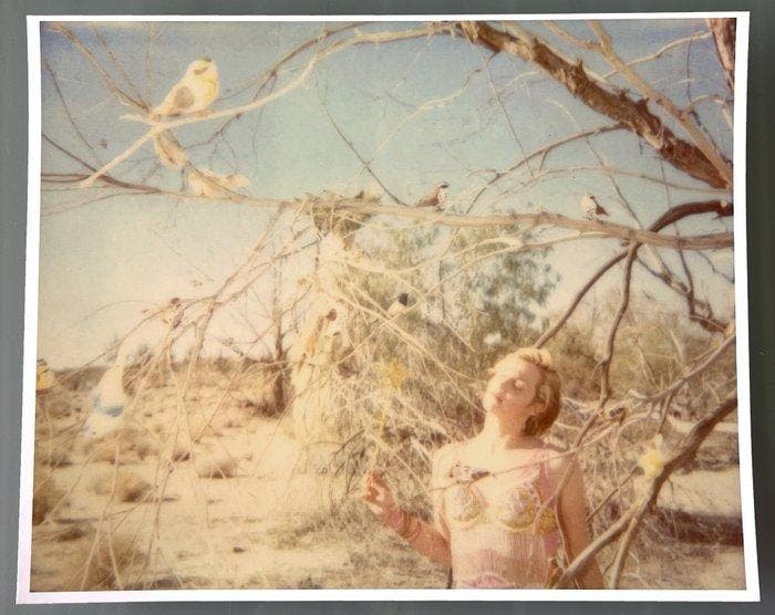 Stefanie Schneider - Circle of Magic - Spellbound (29 Palms,, Antiek en Kunst, Kunst | Designobjecten
