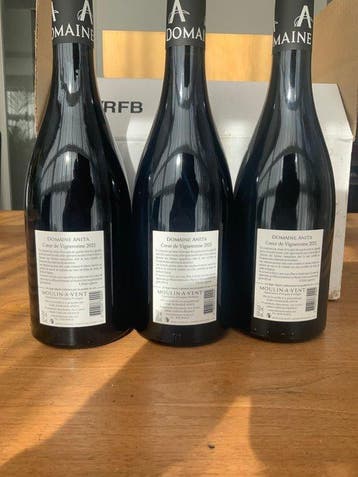 2021 Domaine Anita Coeur de Vigneronne - Beaujolais - 3