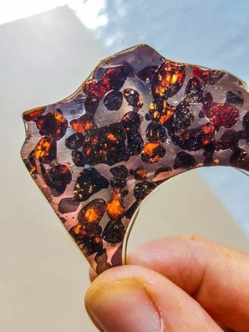 Pallasiet Sericho pallasite - Hoogte: 5.6 cm - Breedte: 3.5
