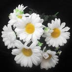 Boeketje Margrieten 30 cm, Nieuw