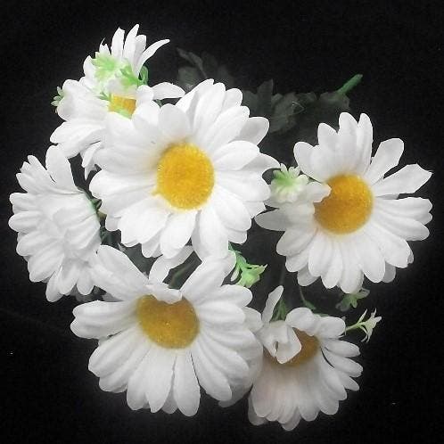 Boeketje Margrieten 30 cm, Huis en Inrichting, Woonaccessoires | Kunstplanten en Kunstbloemen, Nieuw