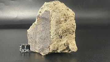 Achondrite ( HED) Nwa 17215 !! Eucrite (XXL) !! - 506 g -