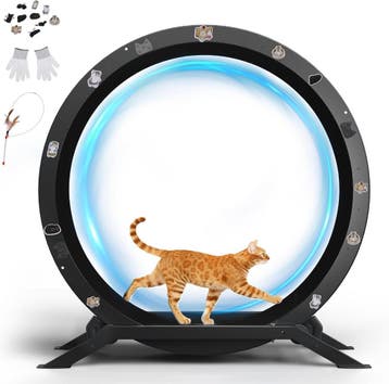 GTPLAYER Kattenloopfiets, loopfiets voor katten, extra groot, Verzenden, Nieuw