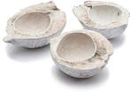 Kokosnoot White Wash halve 15-20 cm per stuk, Nieuw
