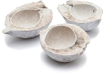 Kokosnoot White Wash halve 15-20 cm per stuk, Nieuw