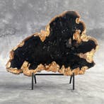 C - Magnifique tranche de bois pétrifié sur un socle