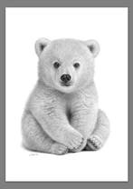 Schu - Polar Bear Cub