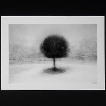 Frank Machalowski - stadtbaum#35, Antiek en Kunst