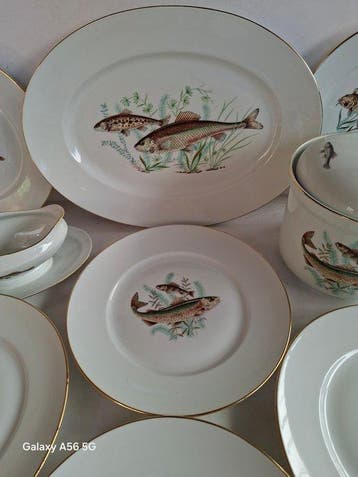 richard ginori - Tafelservies (14) - Porselein - Visservies