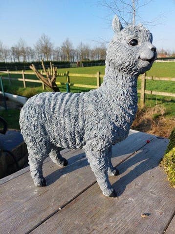 Beeld, Alpacca grijs - 41 cm - polyresin
