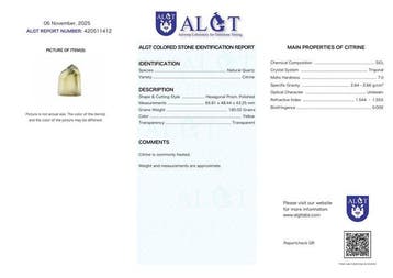 ALGT-gecertificeerd - enorme meesterlijke natuurlijke