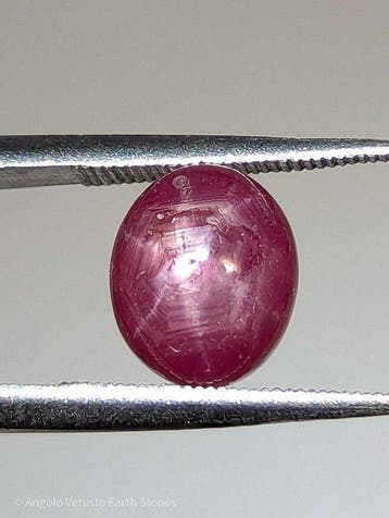 2,96 ct – Natuurlijke sterrobijn, met een prachtig asterisme