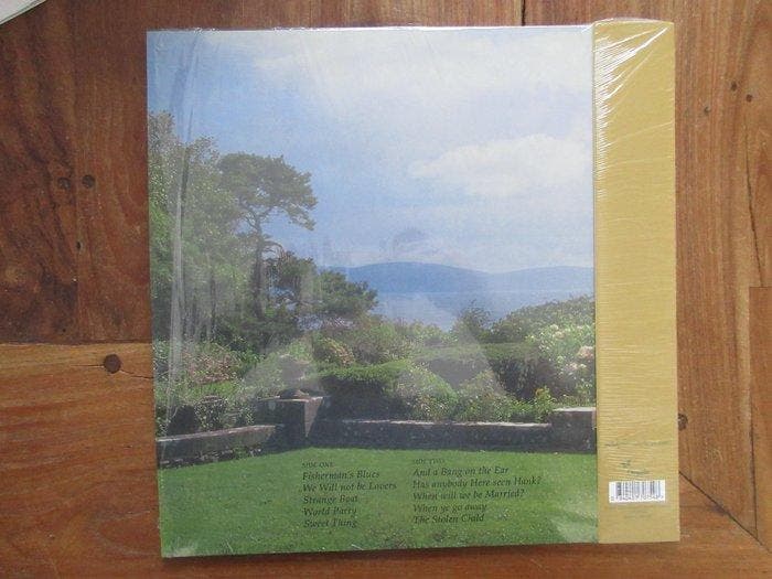 The Waterboys - Fishermans blues - yellow matter custard, Cd's en Dvd's, Vinyl Singles