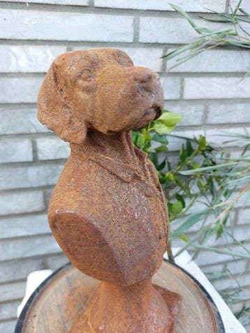 Beeld, statue of a dog in costume in cast metal - 26 cm -