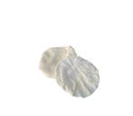 KIT ENSEMB LE DE CONSOMMABLES DACCESSOIRES DE POLISSAGE, Verzenden