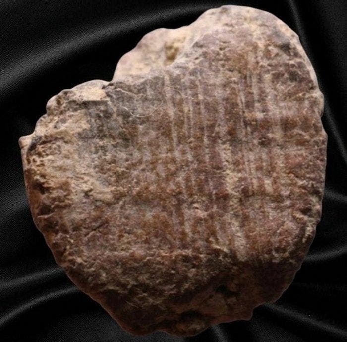 Oud-Romeins Aardewerk Tessera (Zonder minimumprijs), Verzamelen, Mineralen en Fossielen