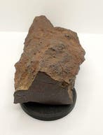 Chondriet Chondrite meteoriet - Hoogte: 210 mm - Breedte: