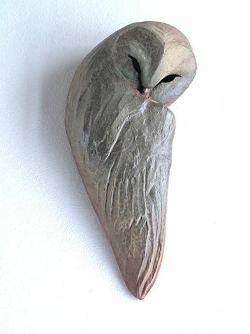 Federico Alibrio - The Visionary Within - Sleeping Barn Owl