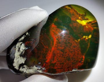 Mexicaanse barnsteen uit Chiapas!! AAA museumkwaliteit- 130