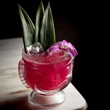 cocktail bekers, Nieuw
