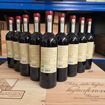 2022 Trasqua Chianti Classico - Toscane DOCG - 9 Flessen, Verzamelen, Wijnen, Nieuw