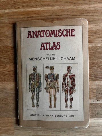 Geen auteur vermeld. - Anatomische Atlas van het Menschelijk