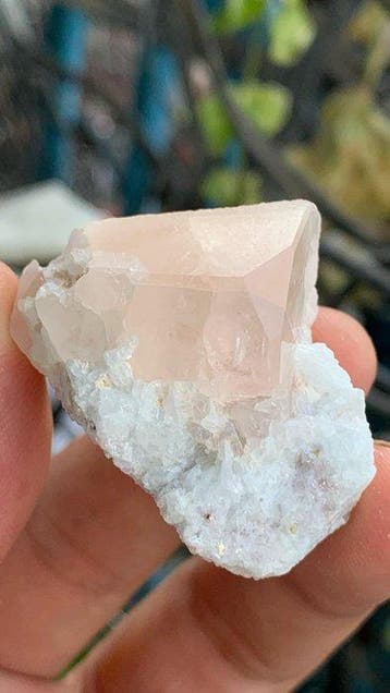 Natuurlijke morganiet Kristal op matrix - Hoogte: 41 mm -