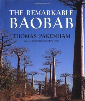 The Remarkable Baobab 9780393059892 Thomas Pakenham, Verzenden, Zo goed als nieuw, Thomas Pakenham
