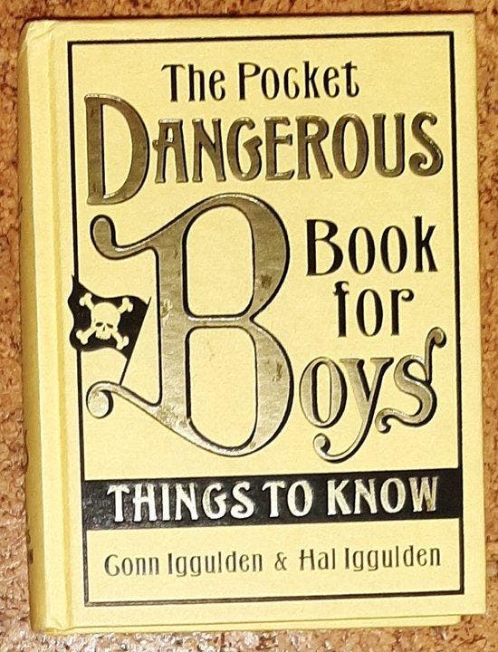 The Pocket Dangerous Book for Boys 9780007254019, Boeken, Taal | Engels, Gelezen, Verzenden
