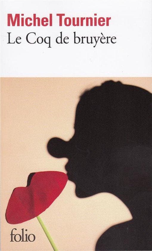 Coq De Bruyere 9782070372294 Michel Tournier, Livres, Langue | Anglais, Envoi