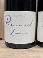 2022 Domaine Aymon - Les Levrières - Pommard - 2 Flessen, Nieuw