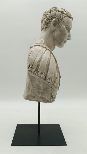 sculptuur, Busto di Giulio Cesare - 47 cm - marmerpoeder
