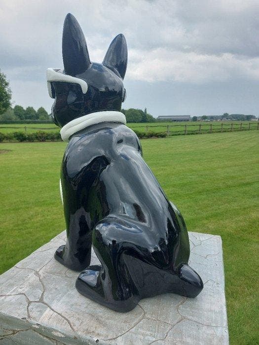 Statue, funny dog with sunglasses in black color - 60 cm -, Antiek en Kunst, Kunst | Designobjecten