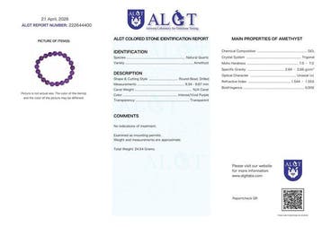 Geen reserve - ALGT-gecertificeerd - Grote en zeer