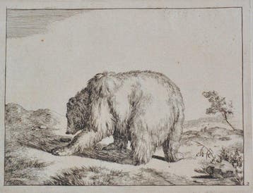 Marcus de Bye (XVII - Bears: Set of 11 engravings (after