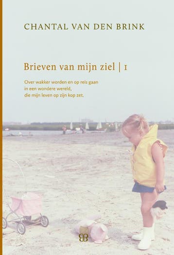 Brieven van mijn ziel / 1993-1999 9789081817202, Verzenden, Chantal van den Brink
