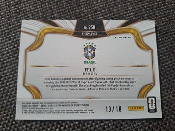Panini - 1 Card