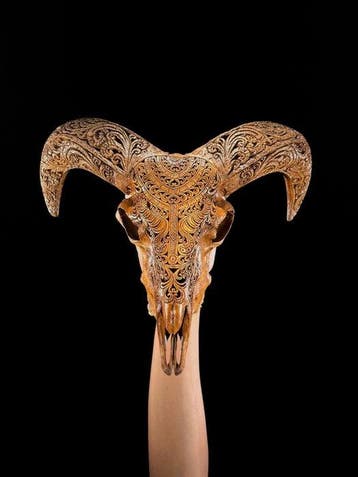 SANS PRIX DE RÉSERVE - Crâne de bélier brun sculpté avec