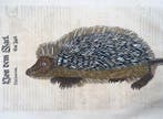 Conrad Gessner [d. 1565] - Hedgehog, folio with 2 woodcuts -